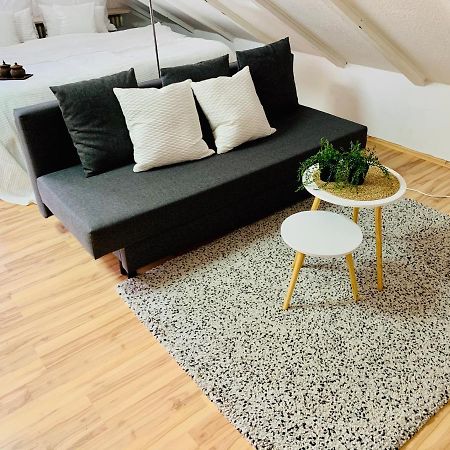 Studio Apartment In Direkter Naehe Zur Uniklinik Homburg Χόμπουργκ Εξωτερικό φωτογραφία