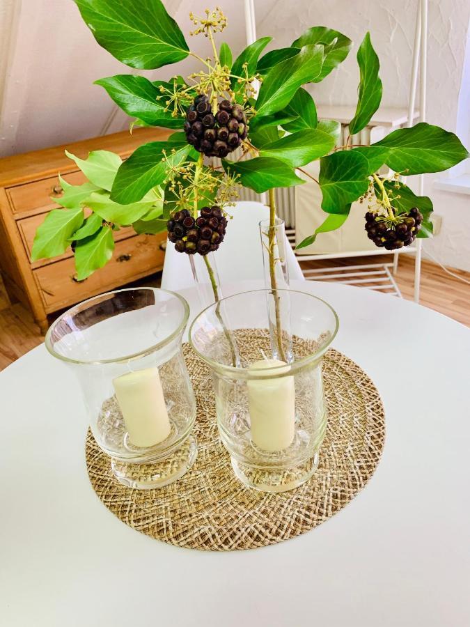 Studio Apartment In Direkter Naehe Zur Uniklinik Homburg Χόμπουργκ Εξωτερικό φωτογραφία