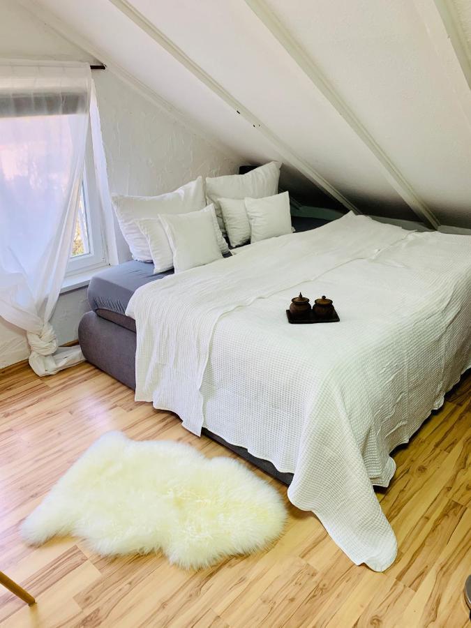Studio Apartment In Direkter Naehe Zur Uniklinik Homburg Χόμπουργκ Εξωτερικό φωτογραφία