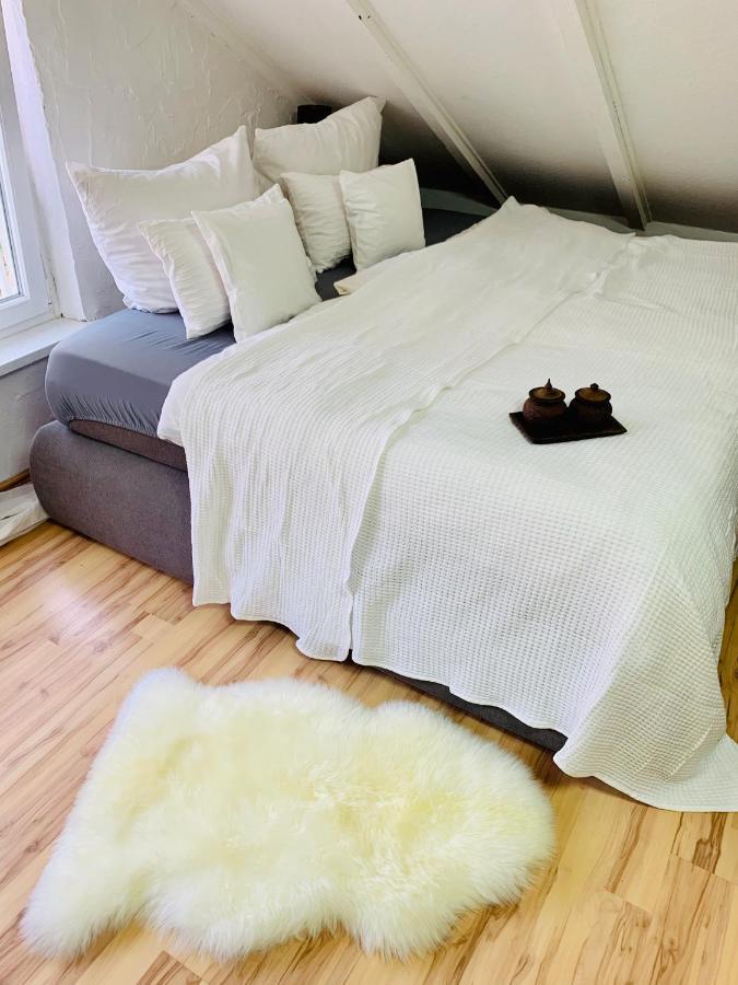 Studio Apartment In Direkter Naehe Zur Uniklinik Homburg Χόμπουργκ Εξωτερικό φωτογραφία