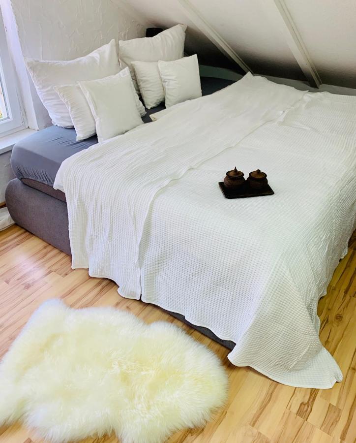 Studio Apartment In Direkter Naehe Zur Uniklinik Homburg Χόμπουργκ Εξωτερικό φωτογραφία