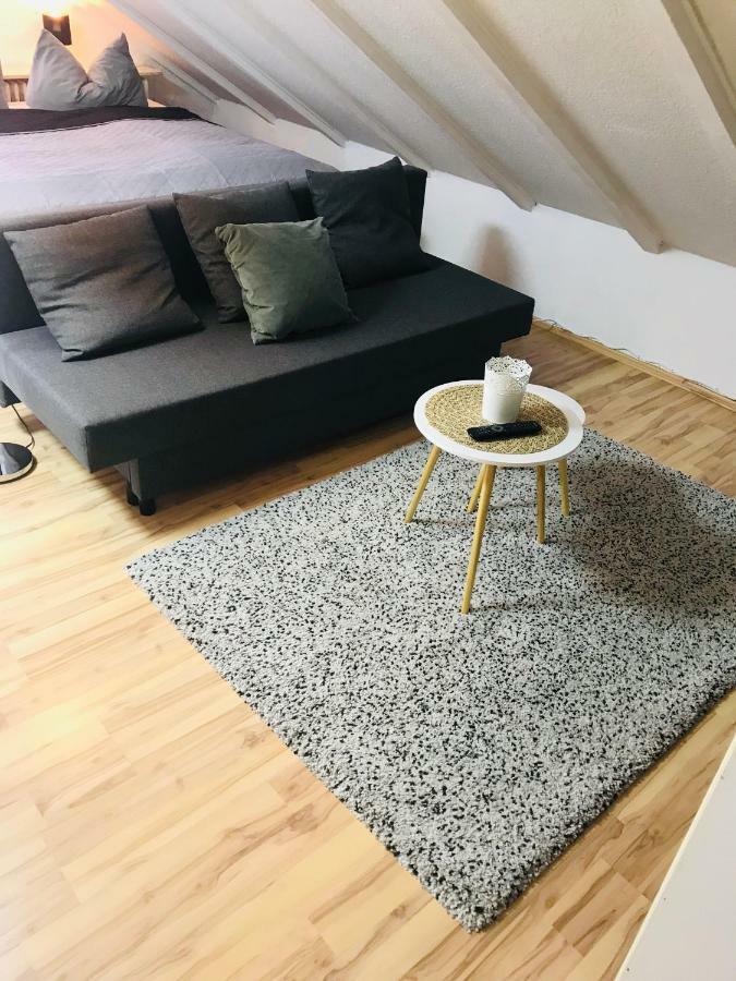 Studio Apartment In Direkter Naehe Zur Uniklinik Homburg Χόμπουργκ Εξωτερικό φωτογραφία